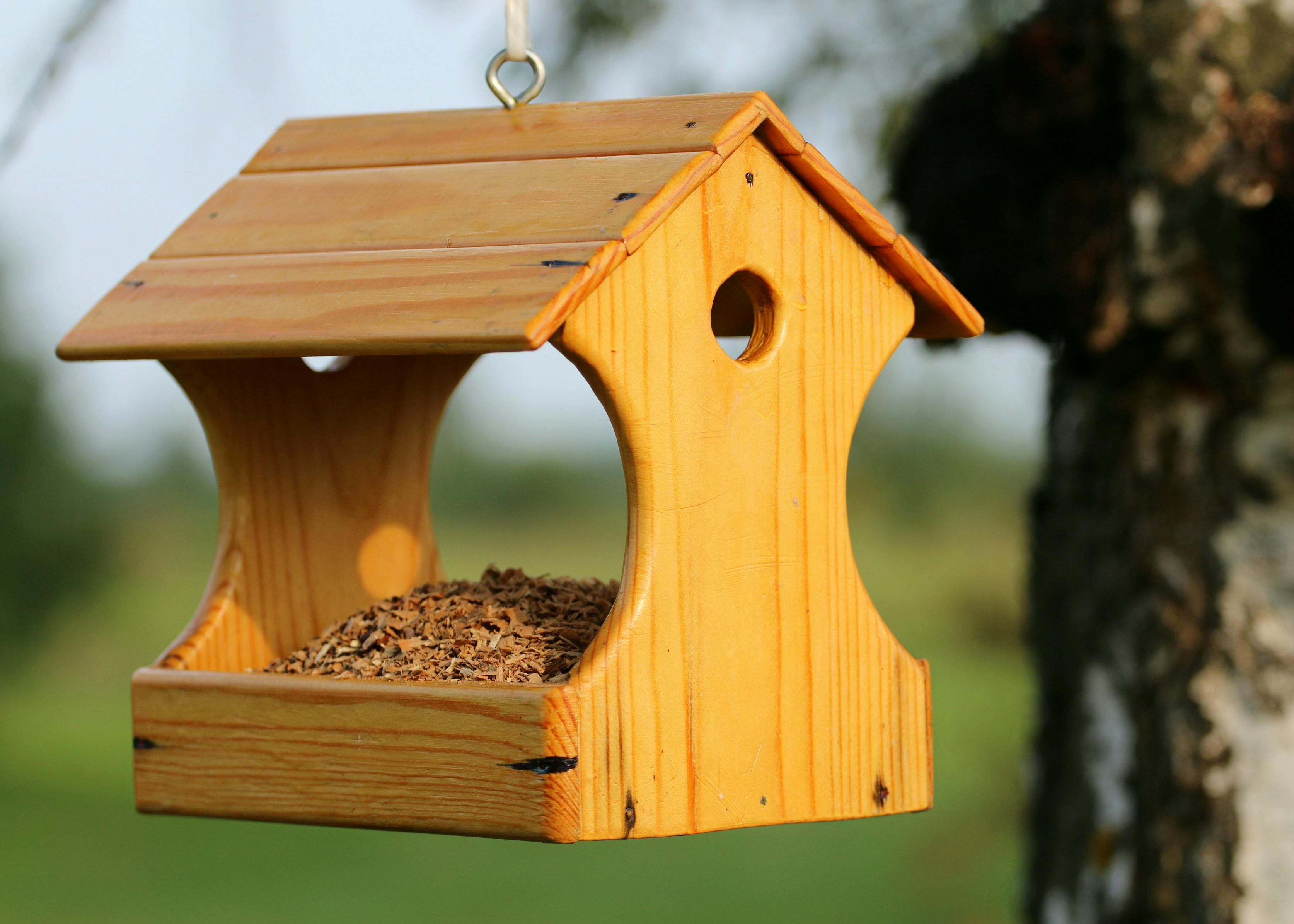 Bird Feeder - Image 1